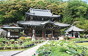 表紙のことば 日本の風景 宇治の秋 三室戸寺 Vol 4 ぼうだより技術がいど 表紙のことば 日本の風景 宇治の秋 三室戸寺 Vol 4 ぼうだより技術がいど