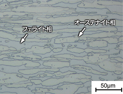 汎用二相ステンレス鋼のミクロ組織一例