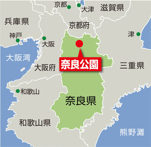 表紙のことば 日本の風景 古都の秋 奈良公園 Vol 504 ぼうだより技術がいど