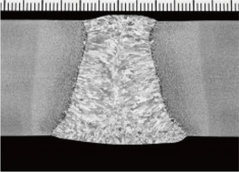図12 断面マクロ写真