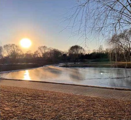 冬場はゴルフ場の湖が凍ります